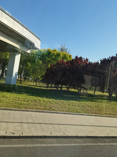 IMG_20260427_171502