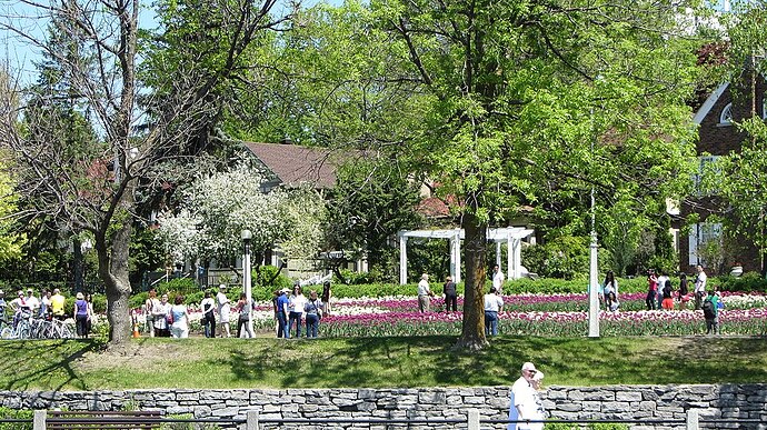 Dows Lake