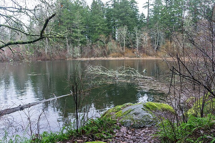 Elk Lake